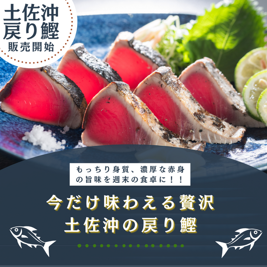 極上の旨味！2024年戻り鰹が登場！