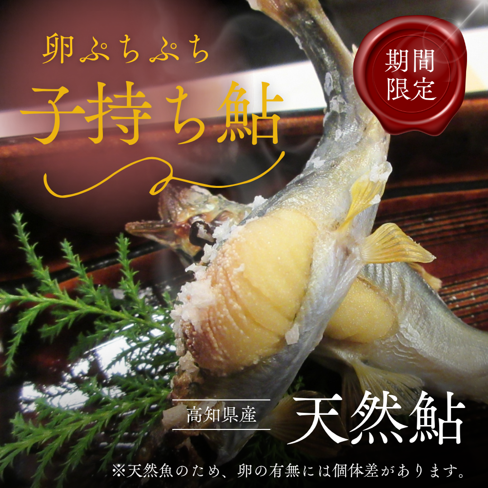 【数量限定】 高知県仁淀川産 天然 子持ち鮎