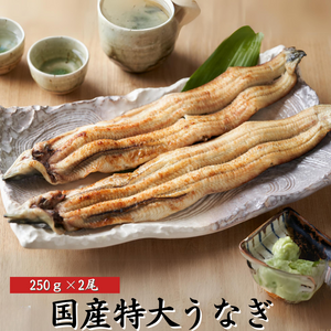 国産 うなぎ 超特大 白焼き 250g×2尾