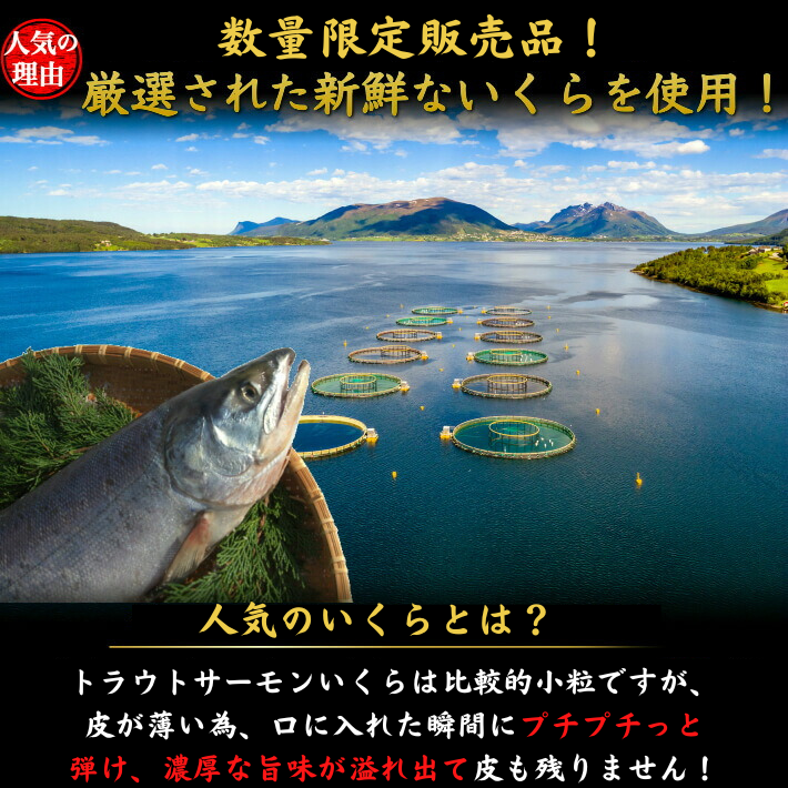 いくら 醤油漬け 同梱用 250ｇ