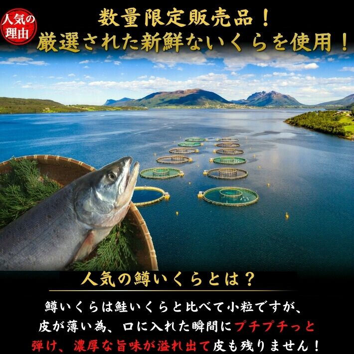 鱒いくら 醤油漬け 同梱用 200ｇ