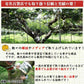 ＼8月下旬発送予約／ 幻の梨 八達梨 高知県針木産 産地直送品