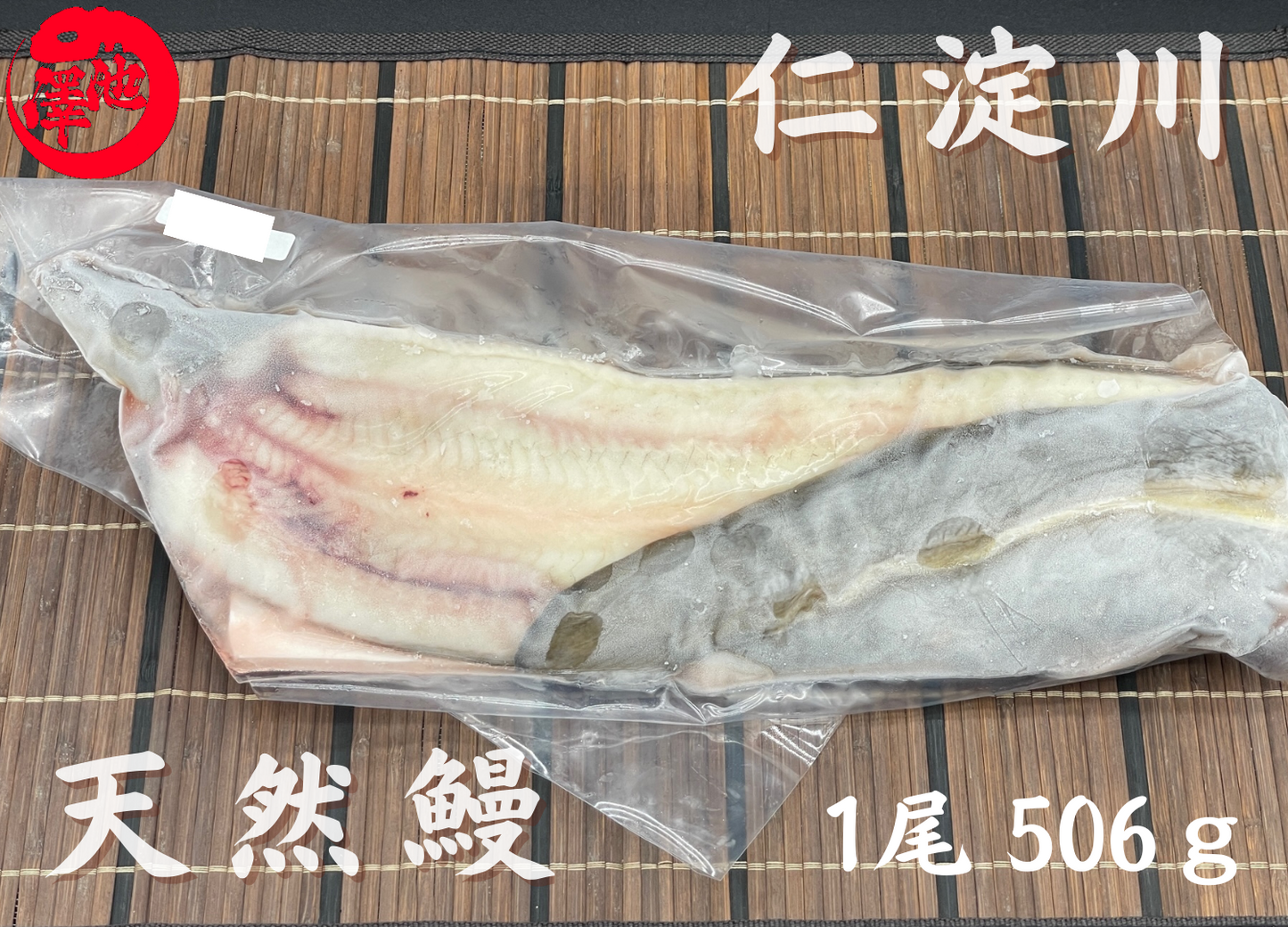 天然うなぎ 仁淀川 【1尾 506ｇ】生冷凍  国産 高知県産