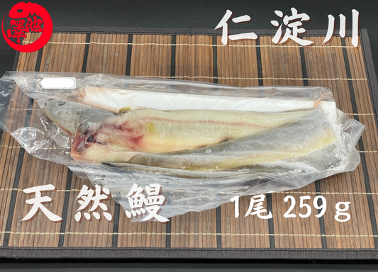 天然うなぎ 仁淀川 【1尾 259ｇ】生冷凍  国産 高知県産