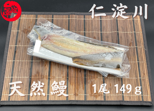 天然うなぎ 仁淀川【1尾 149ｇ】生冷凍  国産 高知県産