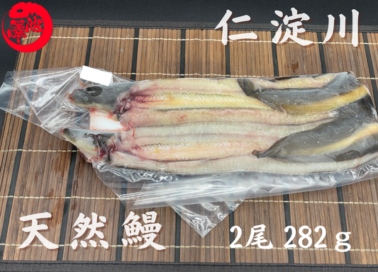 天然うなぎ 仁淀川【2尾 282ｇ】生冷凍  国産 高知県産
