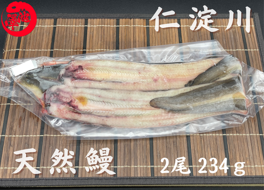天然うなぎ 仁淀川【2尾 234ｇ】生冷凍  国産 高知県産
