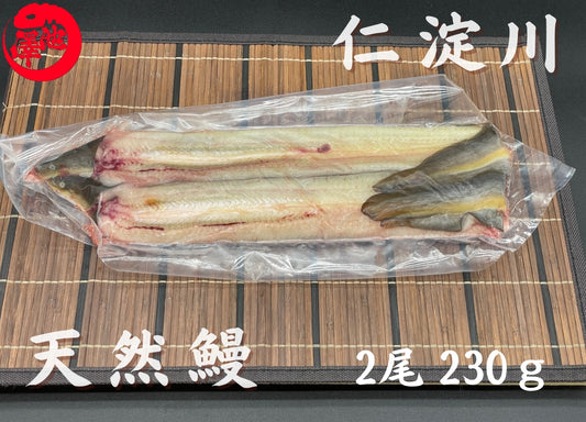 天然うなぎ 仁淀川【2尾 230ｇ】生冷凍  国産 高知県産