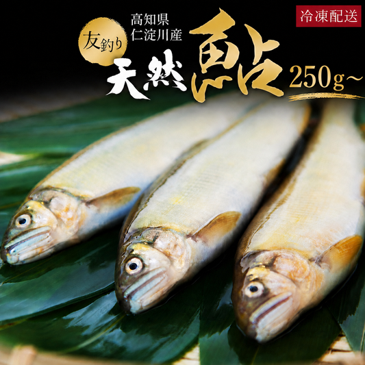 高知県仁淀川産 友釣り天然鮎（250g/500g）