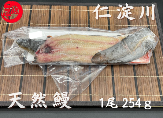 天然うなぎ 仁淀川【1尾254ｇ】生冷凍  国産 高知県産
