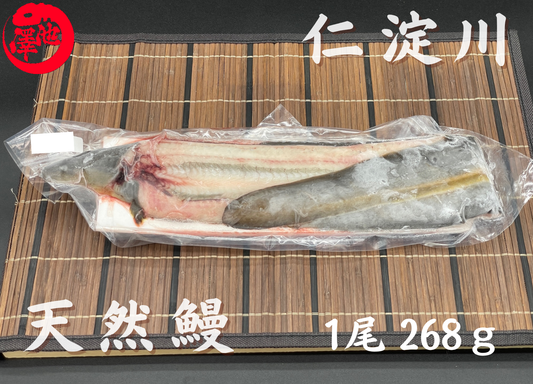 天然うなぎ 仁淀川 【1尾 268ｇ】生冷凍  国産 高知県産