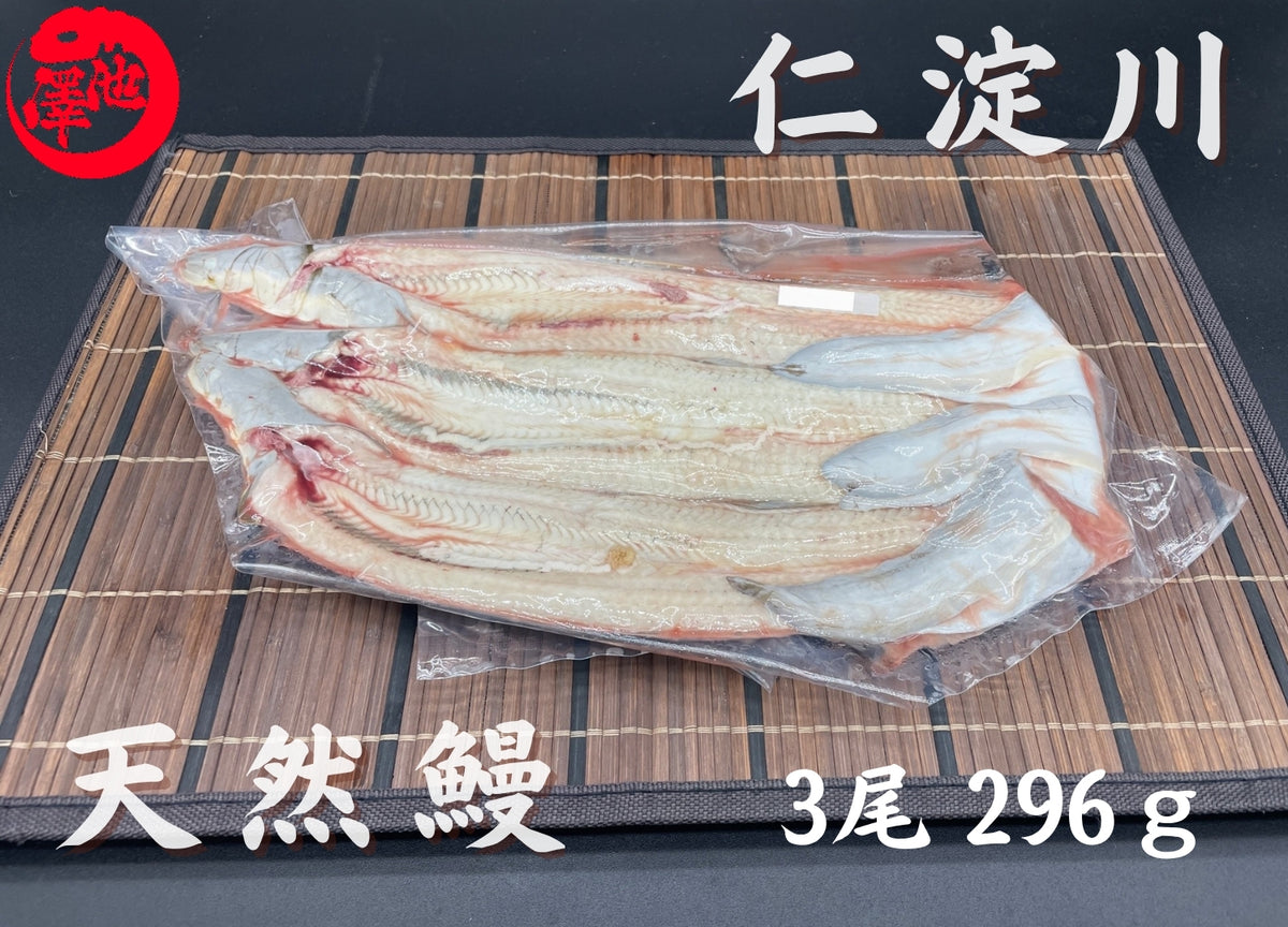 天然うなぎ 仁淀川【3尾 296ｇ】生冷凍  国産 高知県産