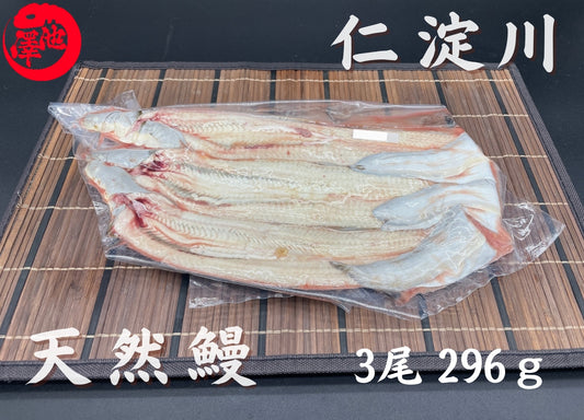 天然うなぎ 仁淀川【3尾 296ｇ】生冷凍  国産 高知県産
