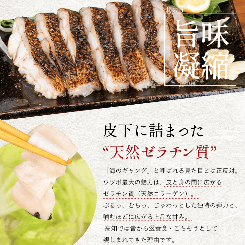 高知県産 日戻り 藁焼き鰹のたたきセット（鰹のたたき うつぼのたたき