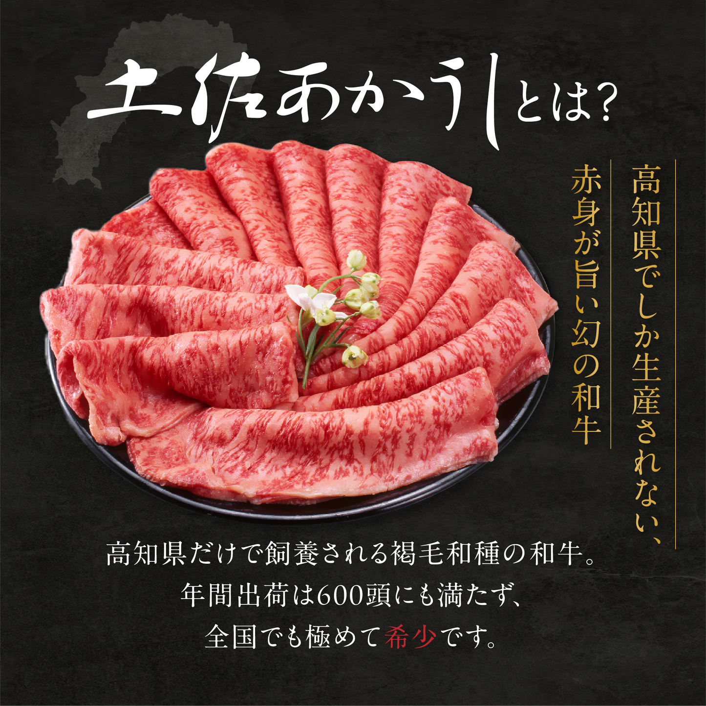 土佐あかうし 極上 サーロインステーキ 500g (2枚入)