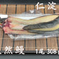 天然うなぎ 仁淀川 【1尾 308ｇ】生冷凍  国産 高知県産