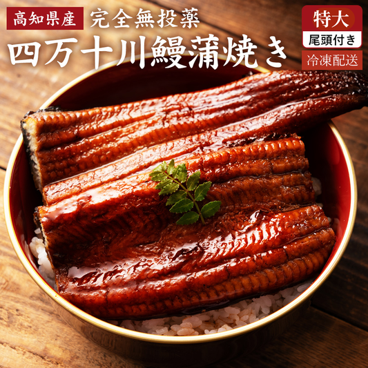 高知県産 うなぎ蒲焼き 双流－四万十川仕立て 特大250ｇ