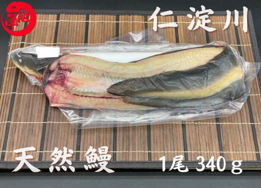 天然うなぎ 仁淀川 【1尾 340ｇ】生冷凍  国産 高知県産