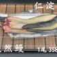 天然うなぎ 仁淀川 【1尾 358ｇ】生冷凍  国産 高知県産