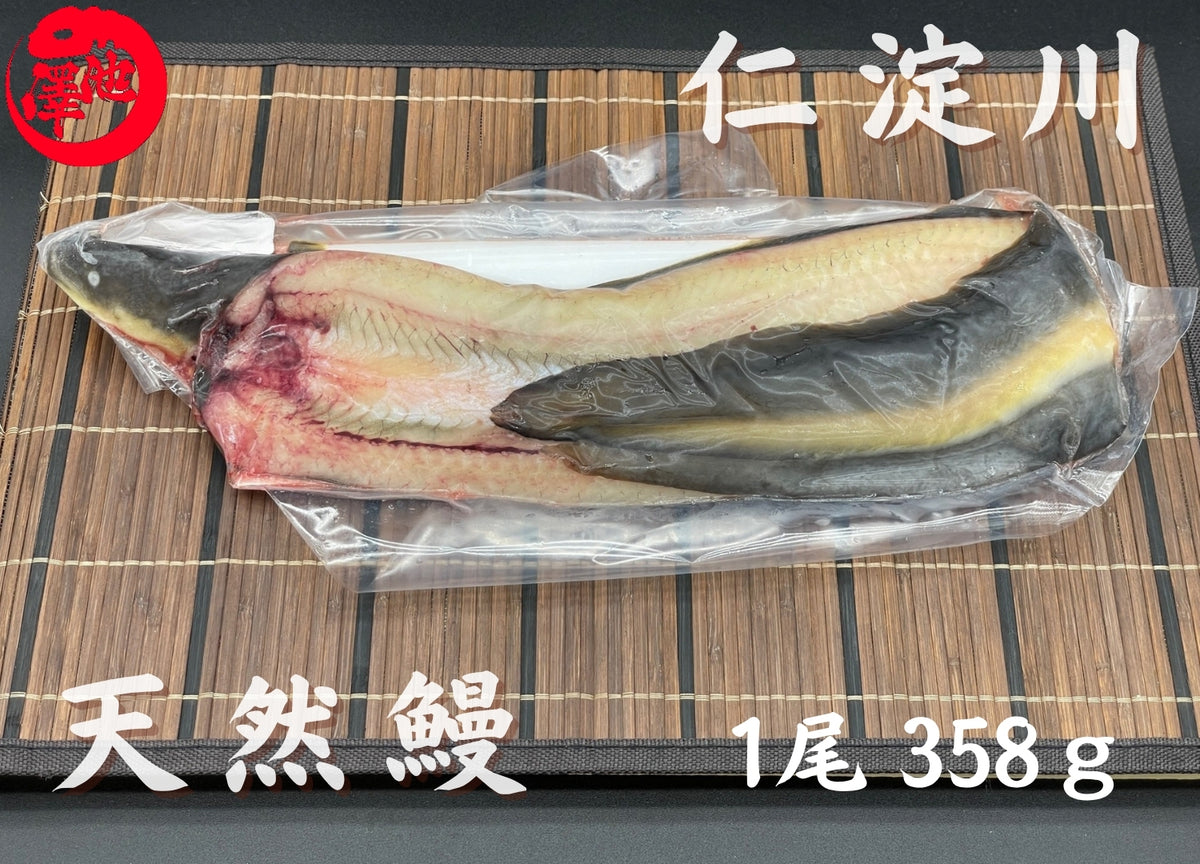 天然うなぎ 仁淀川 【1尾 358ｇ】生冷凍  国産 高知県産
