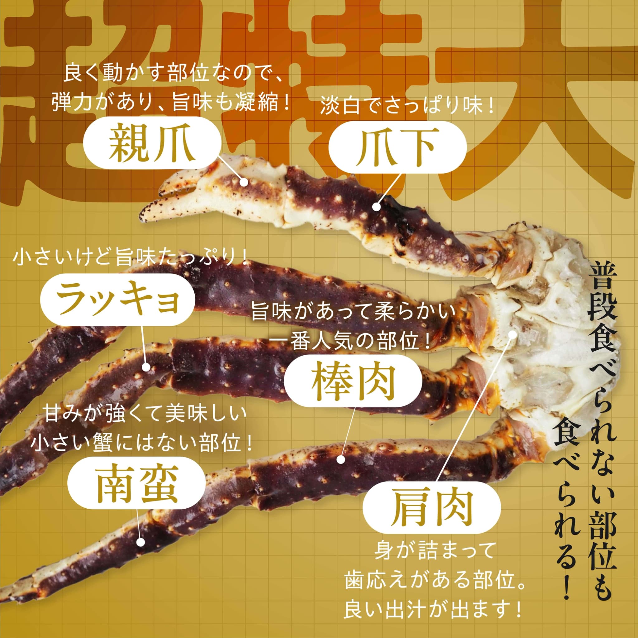 超特大 生タラバ蟹 3kg 10人前（ 1肩半-2肩入り ） – 池澤鮮魚
