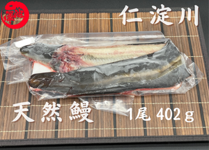 天然うなぎ 仁淀川【1尾 402ｇ】生冷凍  国産 高知県産