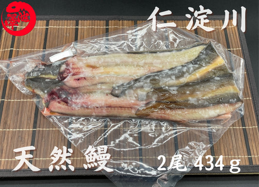 天然うなぎ 仁淀川【2尾 434ｇ】生冷凍  国産 高知県産