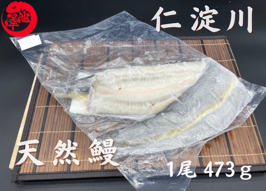 天然うなぎ 仁淀川 【1尾 473ｇ】生冷凍  国産 高知県産