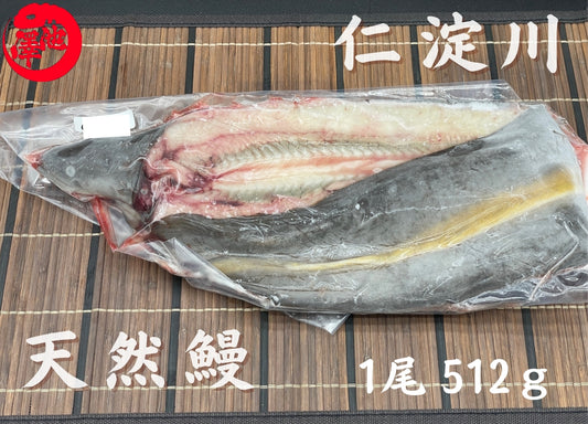 天然うなぎ 仁淀川 【1尾 512ｇ】生冷凍  国産 高知県産