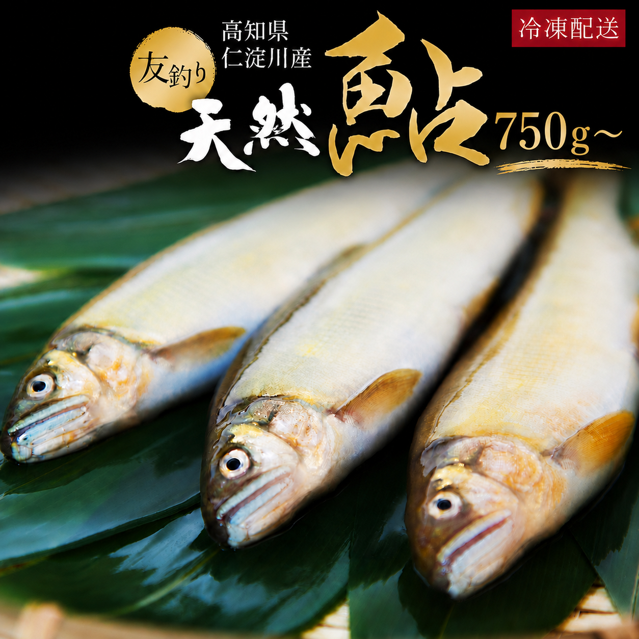 高知県産 仁淀川産 友釣り 天然鮎 （750g/1kg）