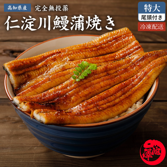 高知県産 うなぎ蒲焼き 双流－仁淀川仕立て 特大250ｇ