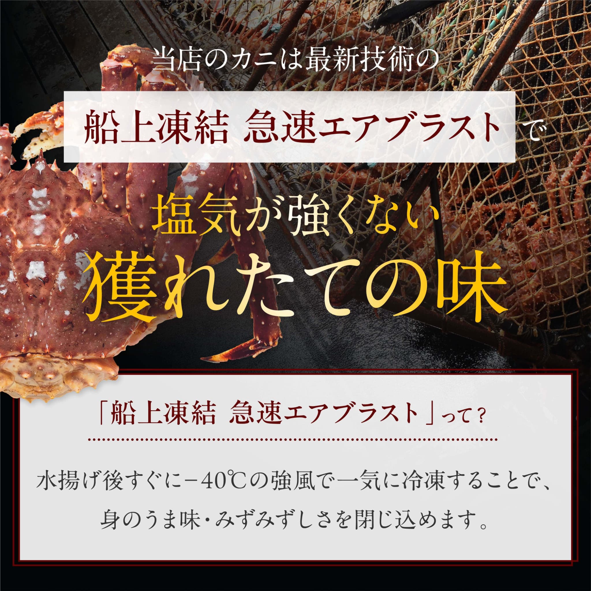 超特大 生タラバ蟹 3kg１肩10人前 10Lキングサイズ : 超特大 生タラバ蟹 3kg１肩10人前 10Lキングサイズ : 食品・飲料・お酒