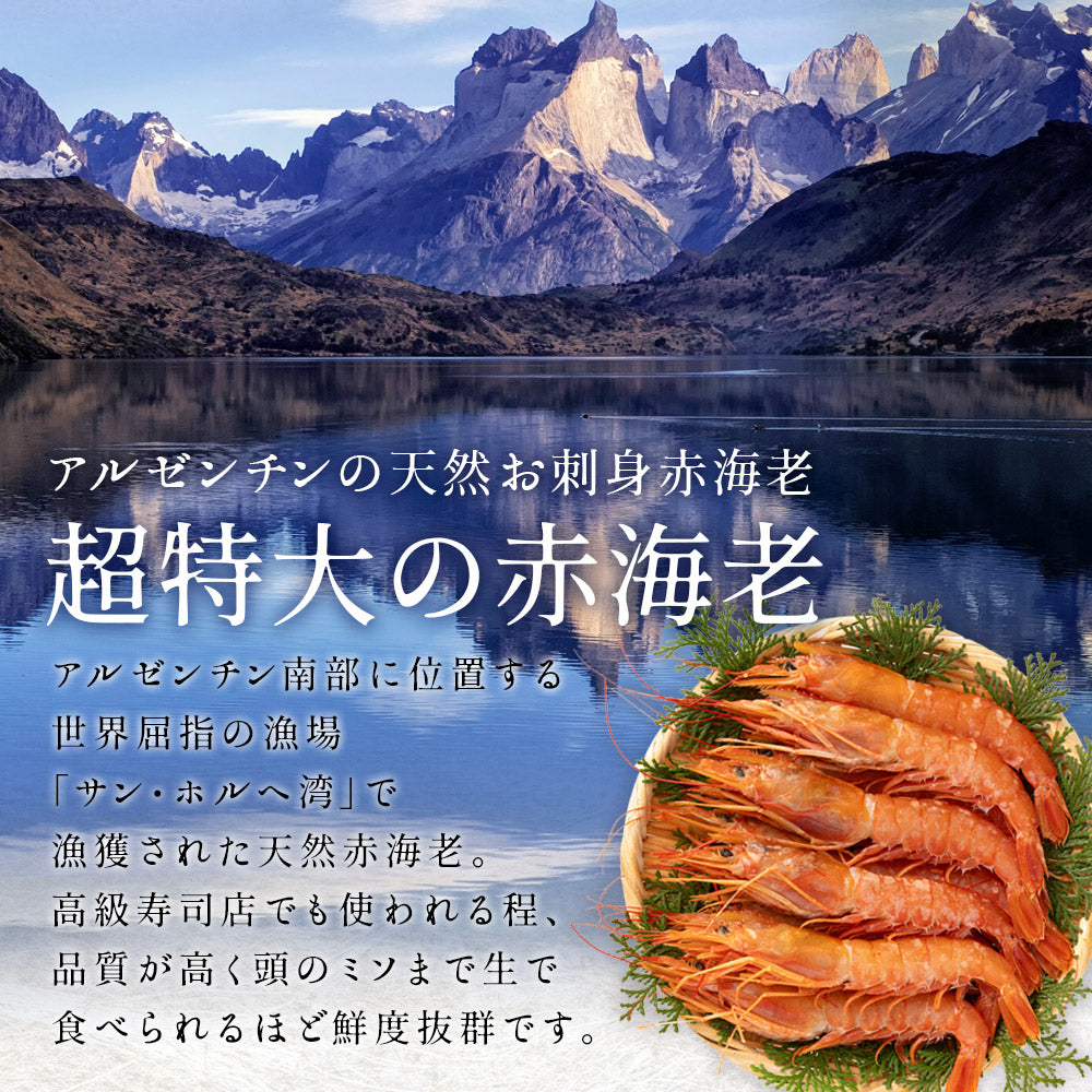 天然 赤海老 お刺身用 超特大1kg～｜アルゼンチン直輸入の極上甛海老