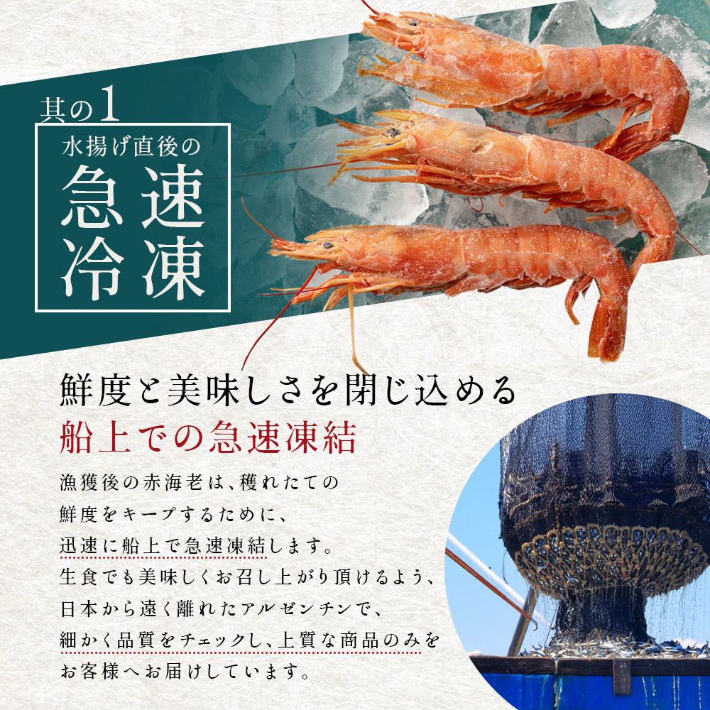 天然お刺身 赤海老 超特大（1kg～） – 池澤鮮魚オンラインショップ