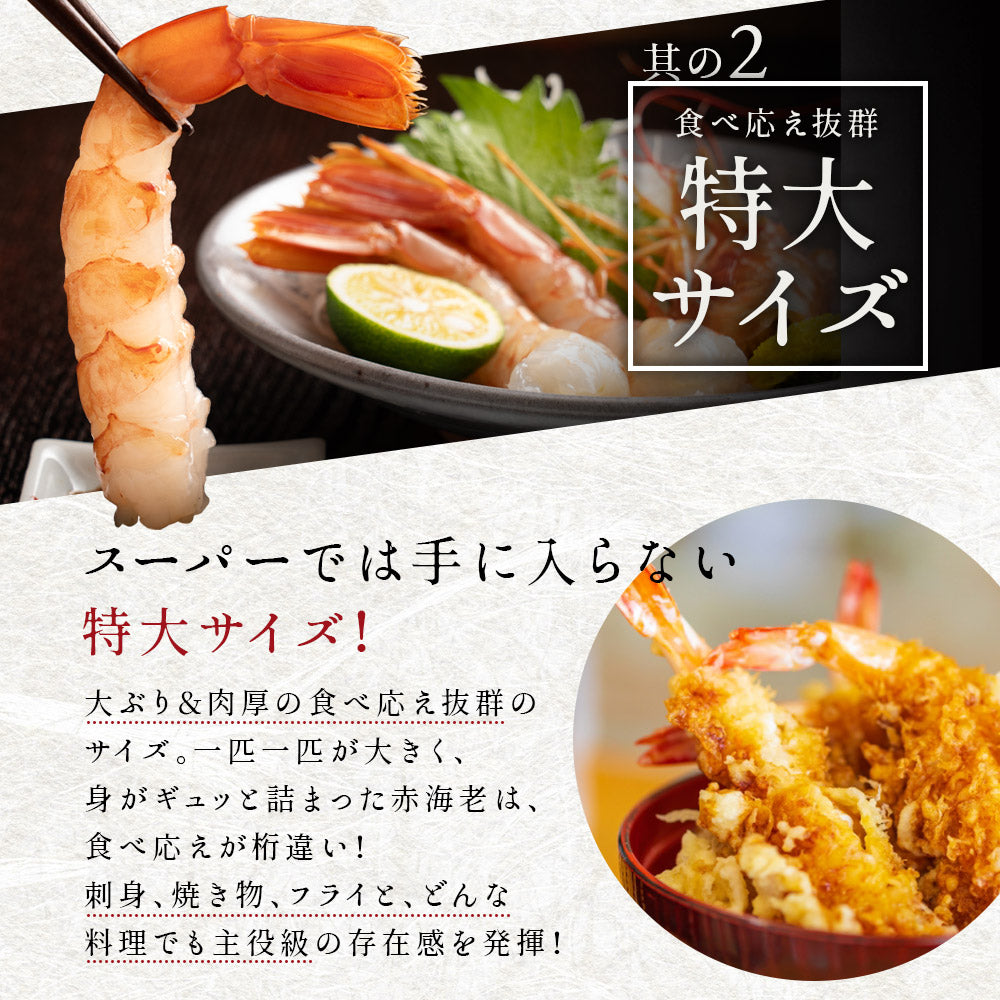 天然 赤海老 お刺身用 超特大1kg～｜アルゼンチン直輸入の極上甛海老