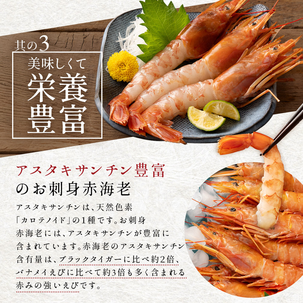 天然お刺身 赤海老 超特大（1kg～） – 池澤鮮魚オンラインショップ