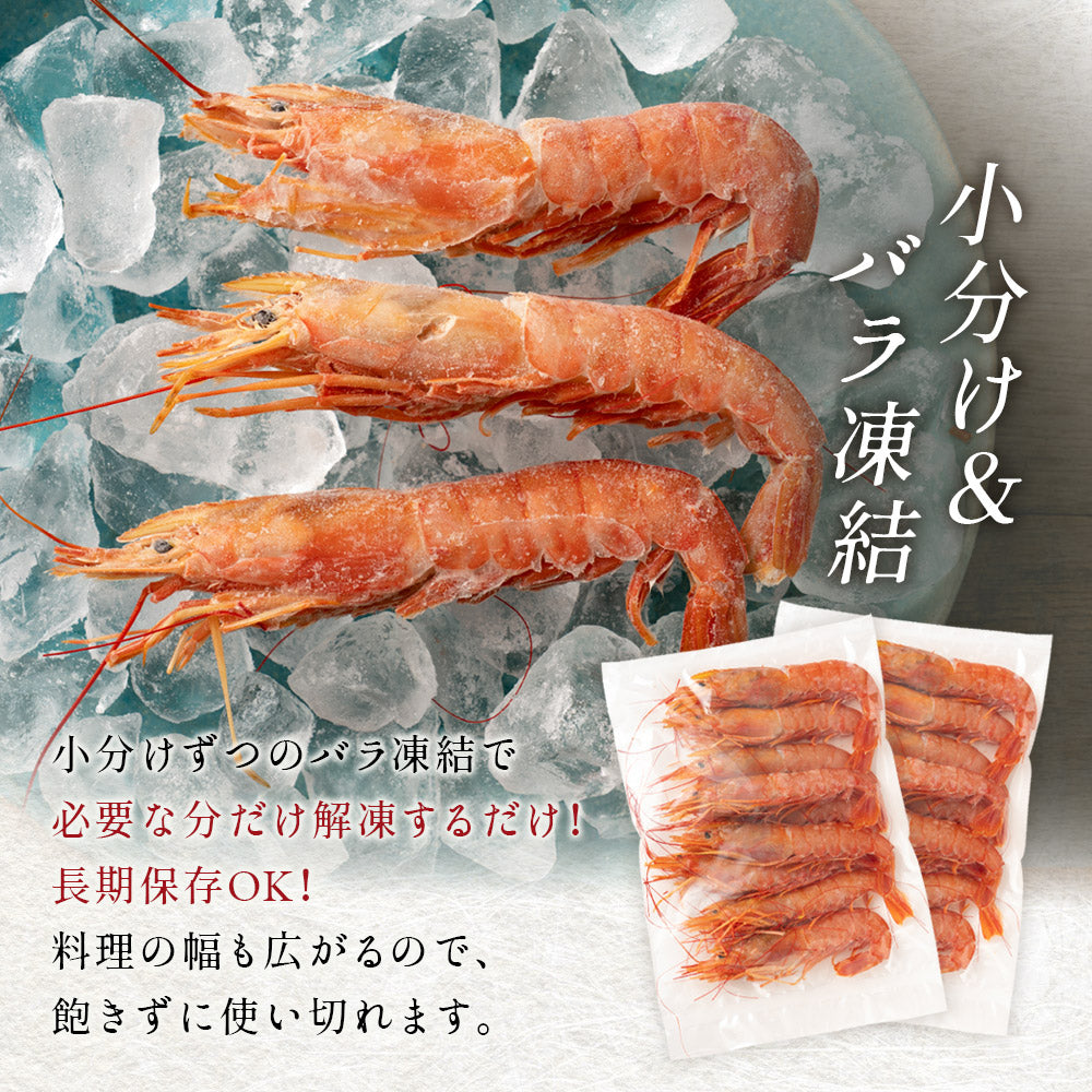 赤海老500gホタテ500g  5セット　冷凍　大きさ不揃い 楽天市場】赤海老 天然 お刺身 赤エビ 同梱用 超特大500g(約7-9