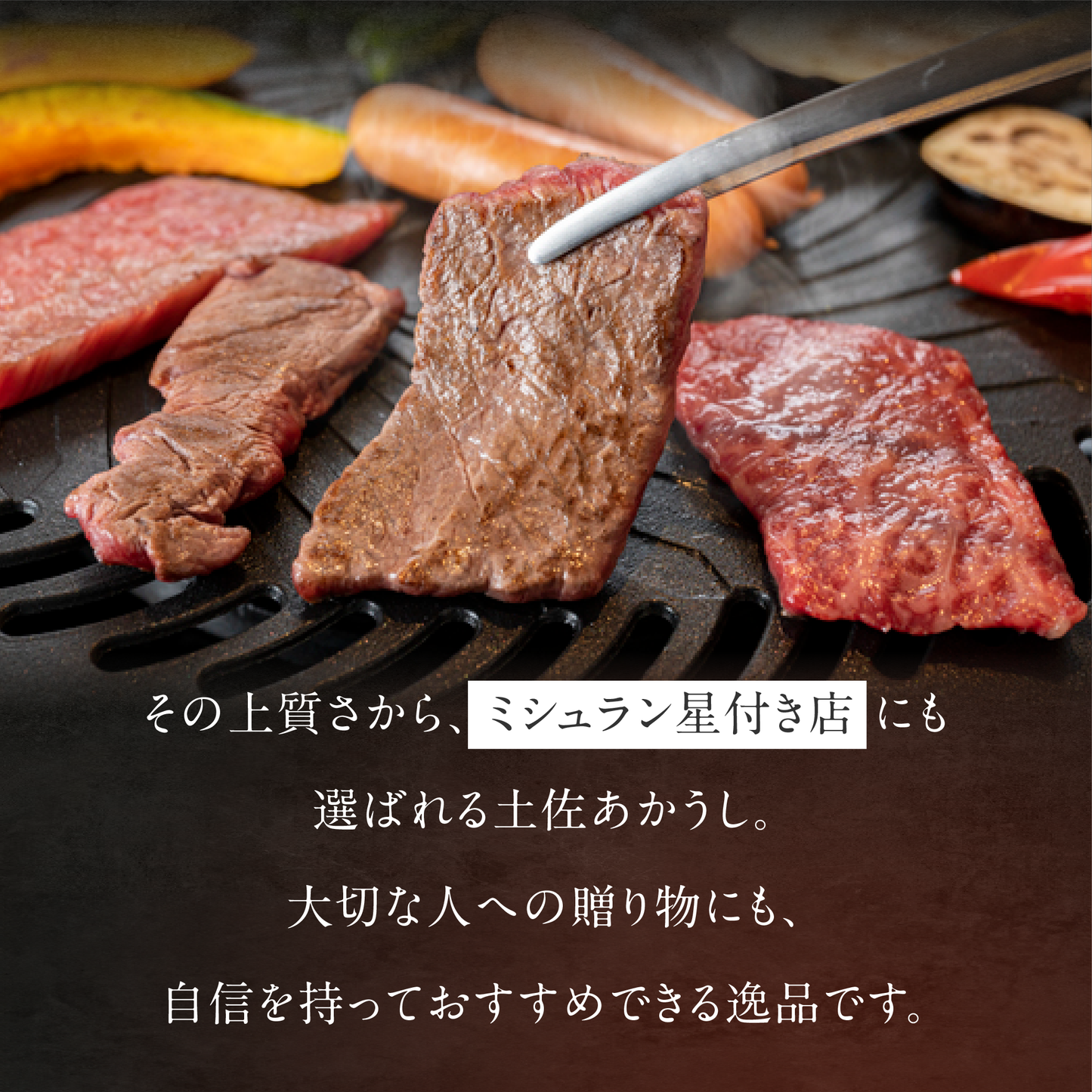 土佐あかうし 極上 焼肉セット カルビ・ロース 計500g