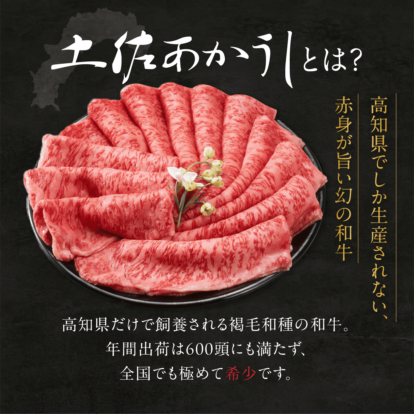 土佐あかうし 極上 ウデしゃぶしゃぶ用 500g