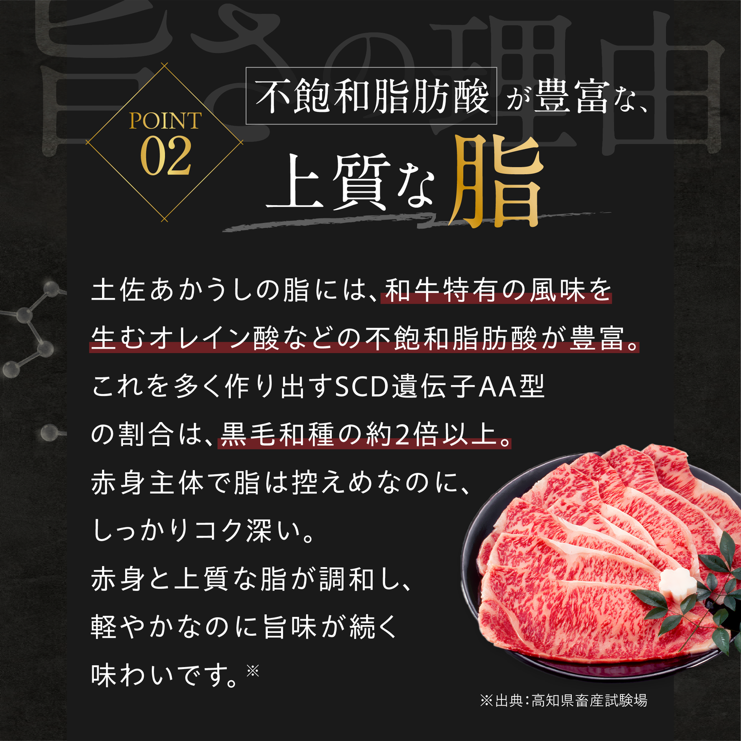 土佐あかうし 極上 焼肉セット カルビ・ロース 計500g