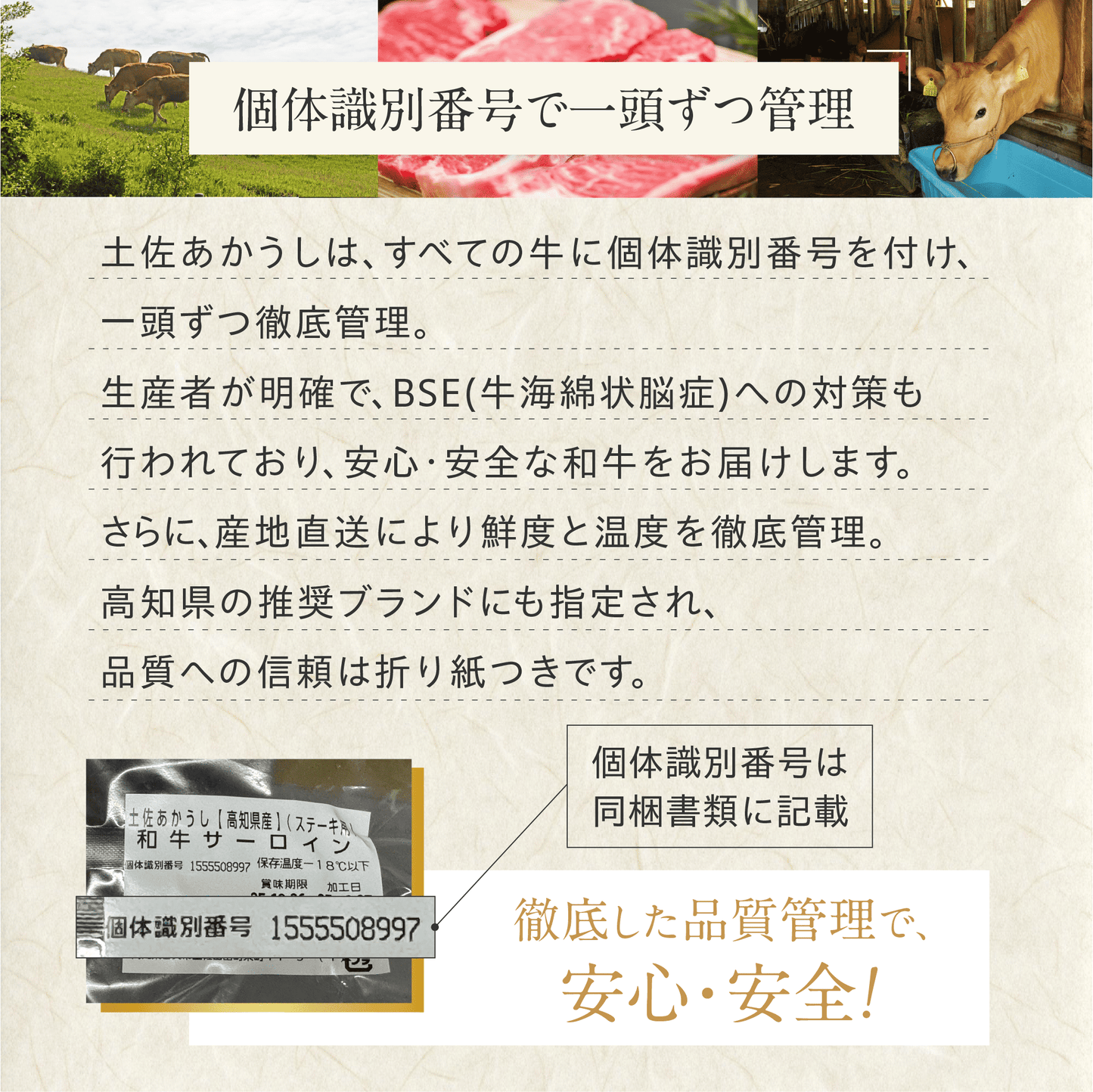 土佐あかうし 極上 ウデしゃぶしゃぶ用 500g