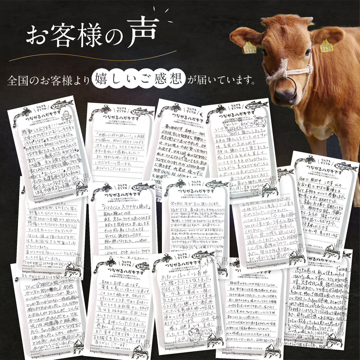 土佐あかうし 極上 焼肉セット カルビ・ロース 計500g