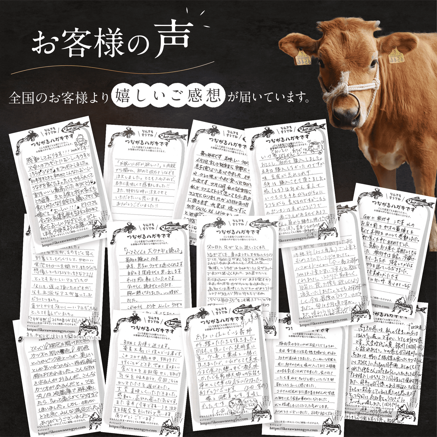 土佐あかうし 極上 ウデしゃぶしゃぶ用 500g