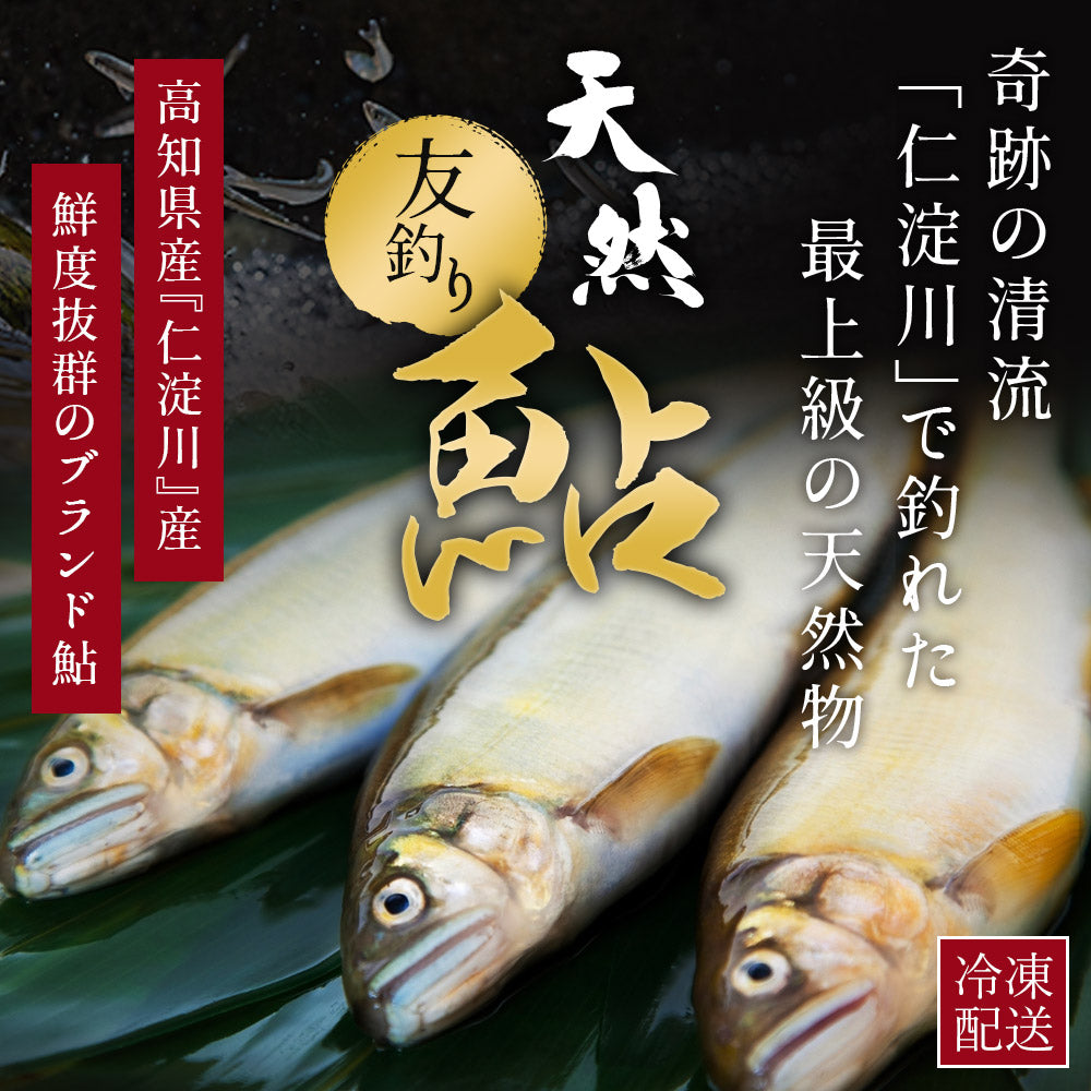 高知県産 仁淀川産 友釣り 天然鮎 （750g/1kg）