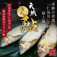 高知県産 仁淀川産 友釣り 天然鮎 （750g/1kg）