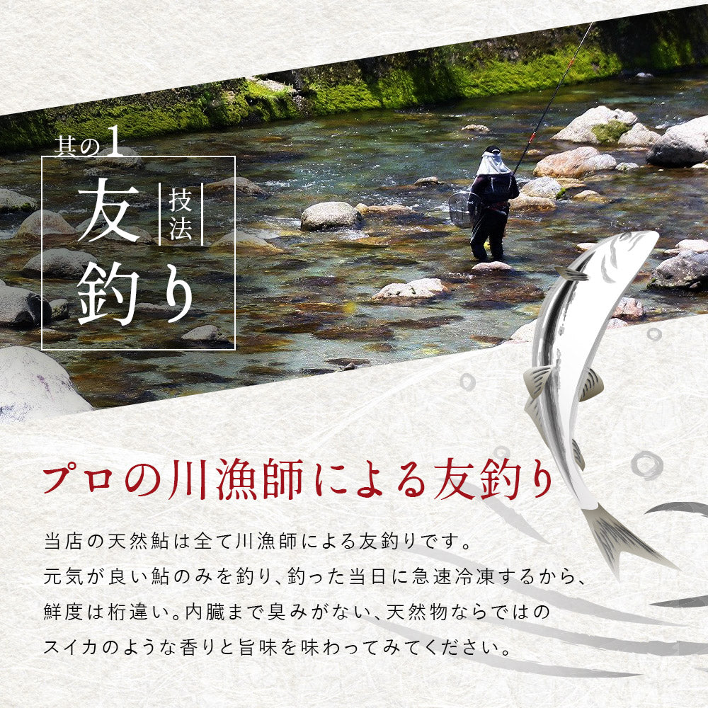 高知県産 仁淀川産 友釣り 天然鮎 （750g/1kg）