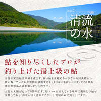 高知県産 仁淀川産 友釣り 天然鮎 （750g/1kg）