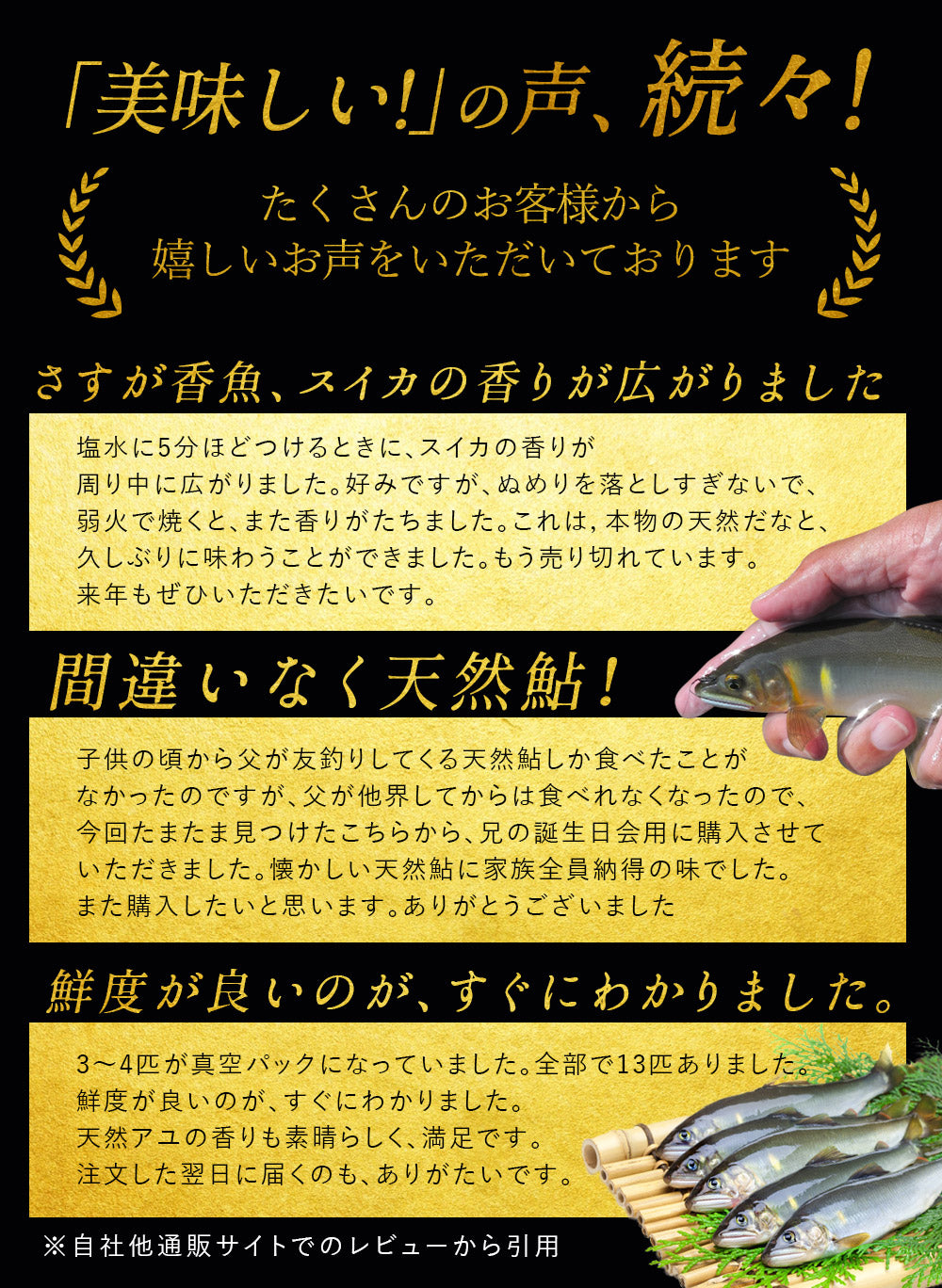高知県産 仁淀川産 友釣り 天然鮎 （750g/1kg）