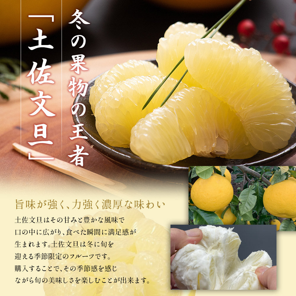 小松さんの減農薬 土佐文旦 約10kg 中玉・小玉 家庭用 訳あり