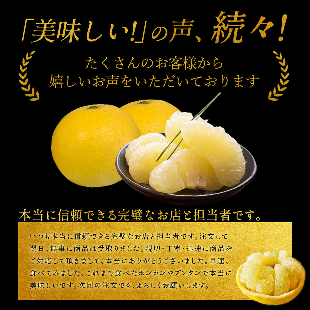 小松さんの減農薬 土佐文旦 約10kg 中玉・小玉 家庭用 訳あり